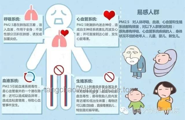 每生一次气都会留在甲状腺里？科学管理情绪，守护甲状腺健康